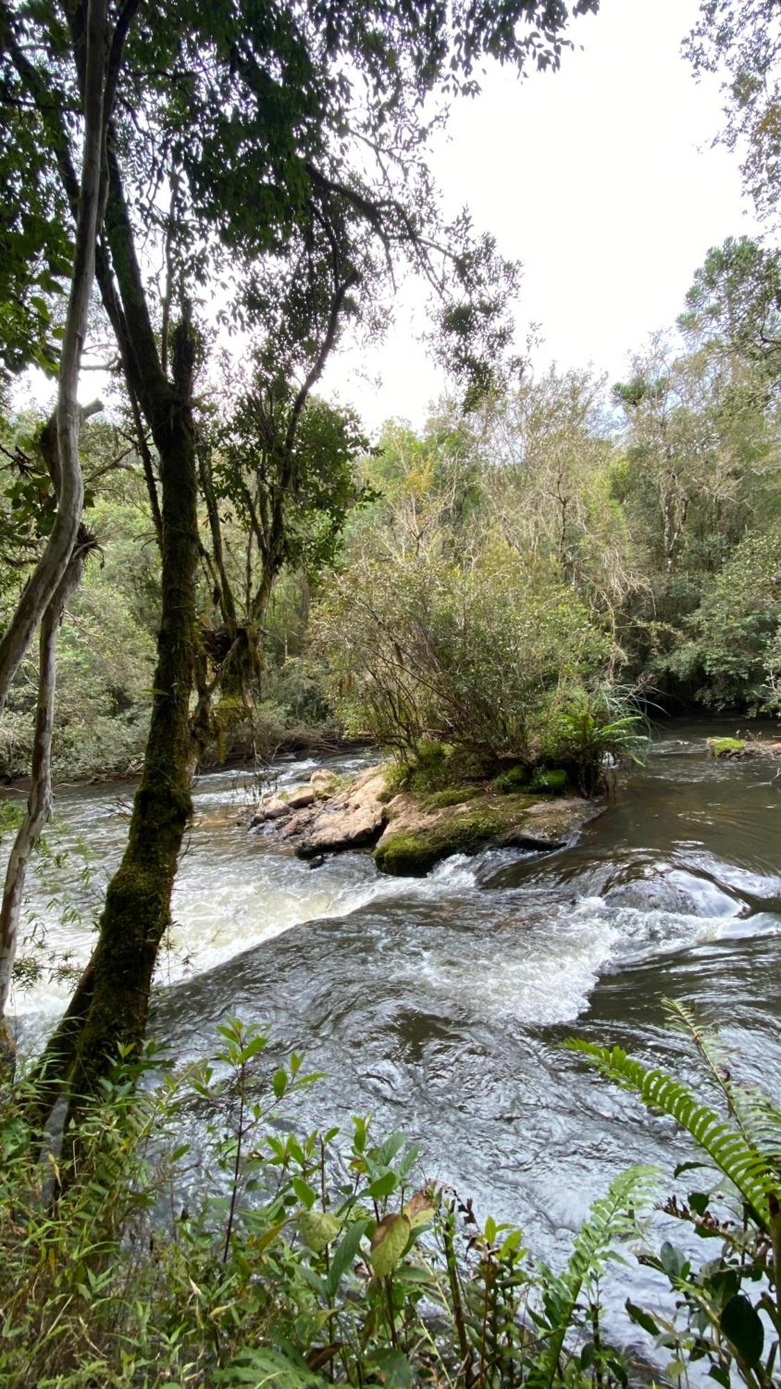 Pousada Recanto do Sauá - Monte Verde Monte Verde  Exterior foto